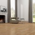 Loose Lay Elegant Champagne Oak